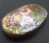 Топовый камень! Крупный аммолит аммонита 118,25 карат