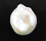 Кремово-белая морская жемчужина барокко 31,74 карата