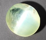 Яркий хризоберилл с эффектом кошачьего глаза 1,17 карата