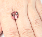 Open color grade! Полихромный турмалин 4,33 карата