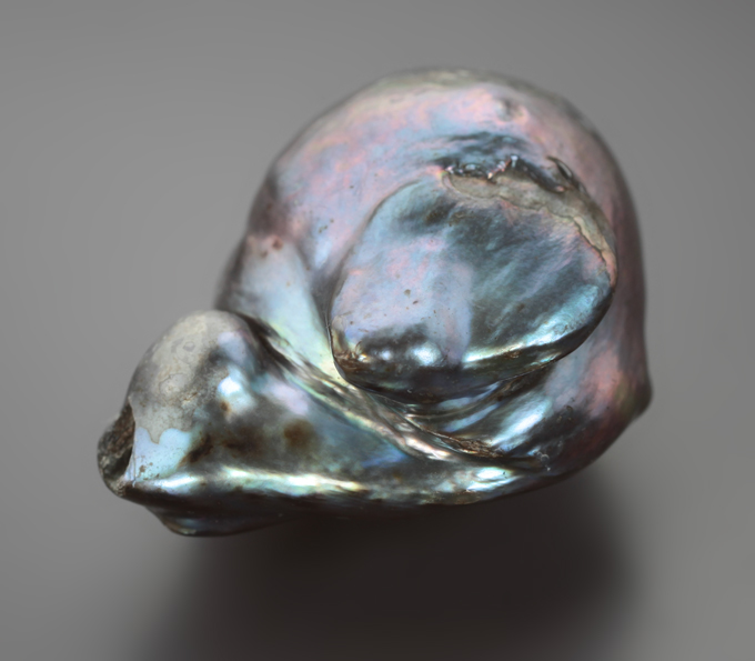 Крупная черная морская жемчужина барокко 39,46 карата! Титановый люстр