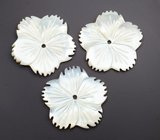 Набор резного перламутра 18,15 карата