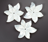 Набор резного перламутра 21,02 карата