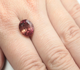 Полихромный турмалин 5,39 карата