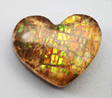 Аммолит аммонита 7,93 карата