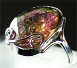 Кольцо со слайсом арбузного турмалина Серебро 925