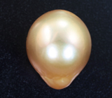 Золотистая морская жемчужина 13,64 карата! Натуральный цвет