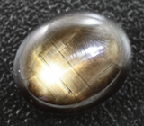 Кольцо cо звездчатым сапфиром 6,05 карата