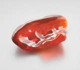 Крупный мексиканский «огненный» опал 6,38 карата