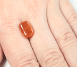 Эксклюзивный размер! Крупный клиногумит 9,79 карата